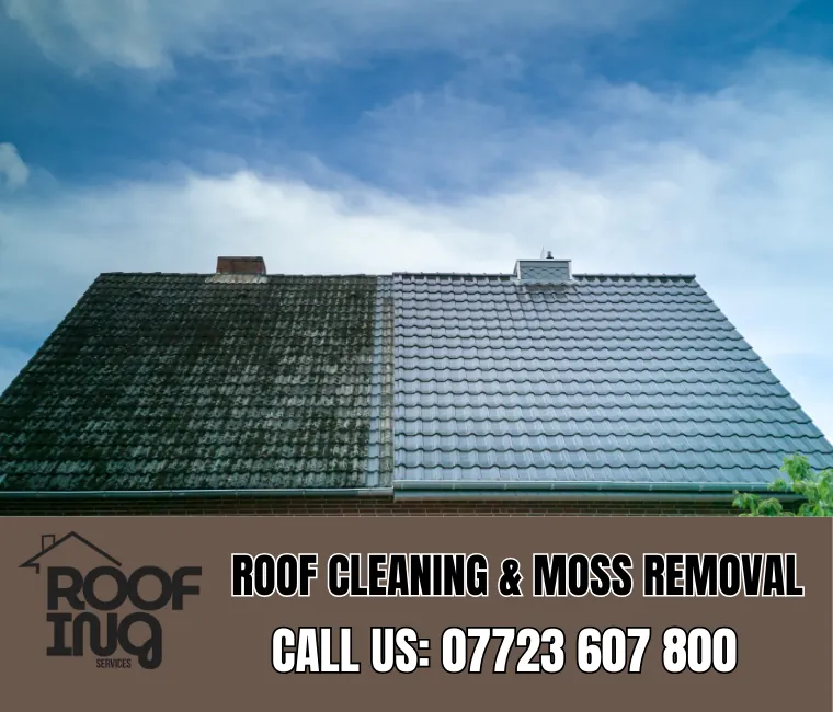 Roof Cleaning in Boscastle